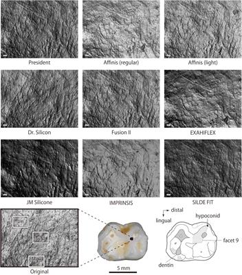 Accuracy of dental microwear impressions by physical properties of silicone materials